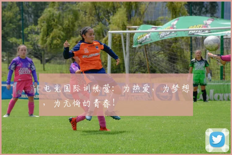 电竞国际训练营:为热爱,为梦想,为无悔的青春!