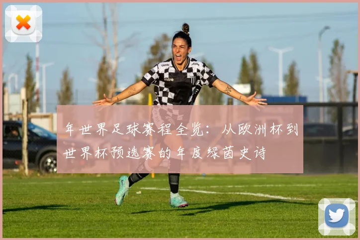 年世界足球赛程全览：从欧洲杯到世界杯预选赛的年度绿茵史诗